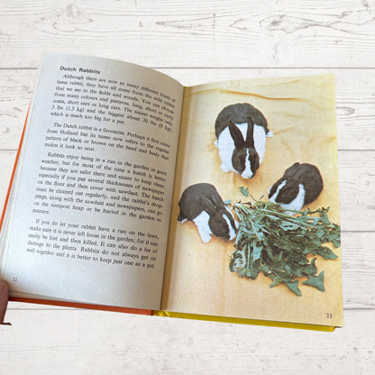 Pets. 1970s Ladybird Learnabout Book. Series 633. Great Gift Idea