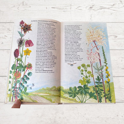 Open book with illustrations of flowers on a wooden surface