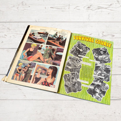 Vintage Diana Annual 1966, full of fiction, fashion, fun and nostalgia. Great gift idea