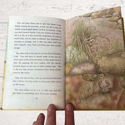 Open book with illustrations of crabs and text on a white surface