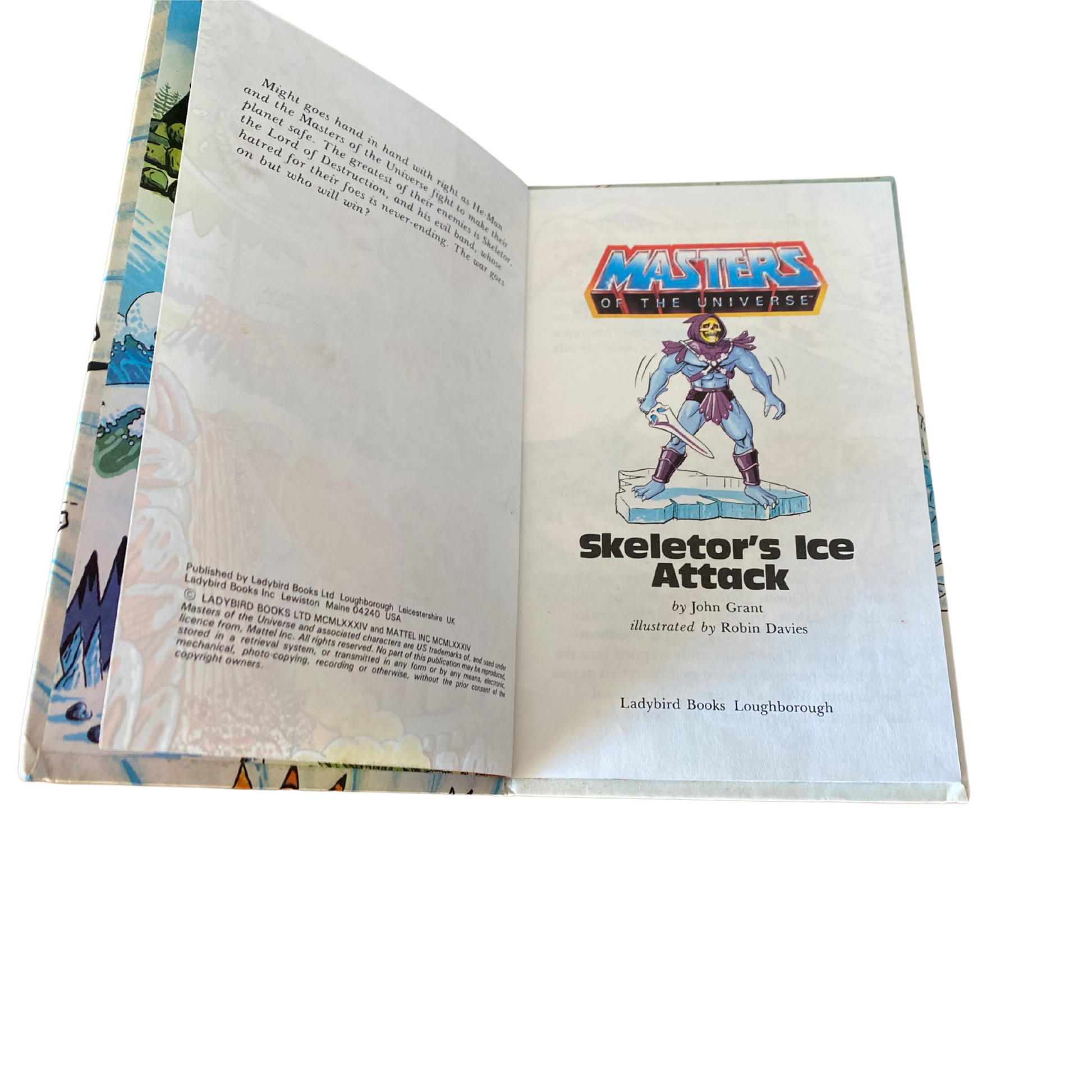 Small hardback book with glossy cover - He-Man Masters of the Universe