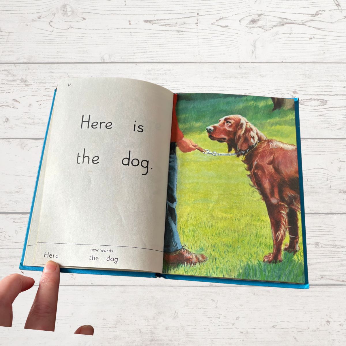 Open book showing a page with text and an illustration of a dog on a grassy field.