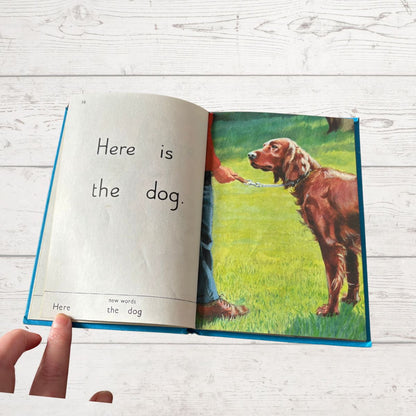 Open book showing a page with text and an illustration of a dog on a grassy field.