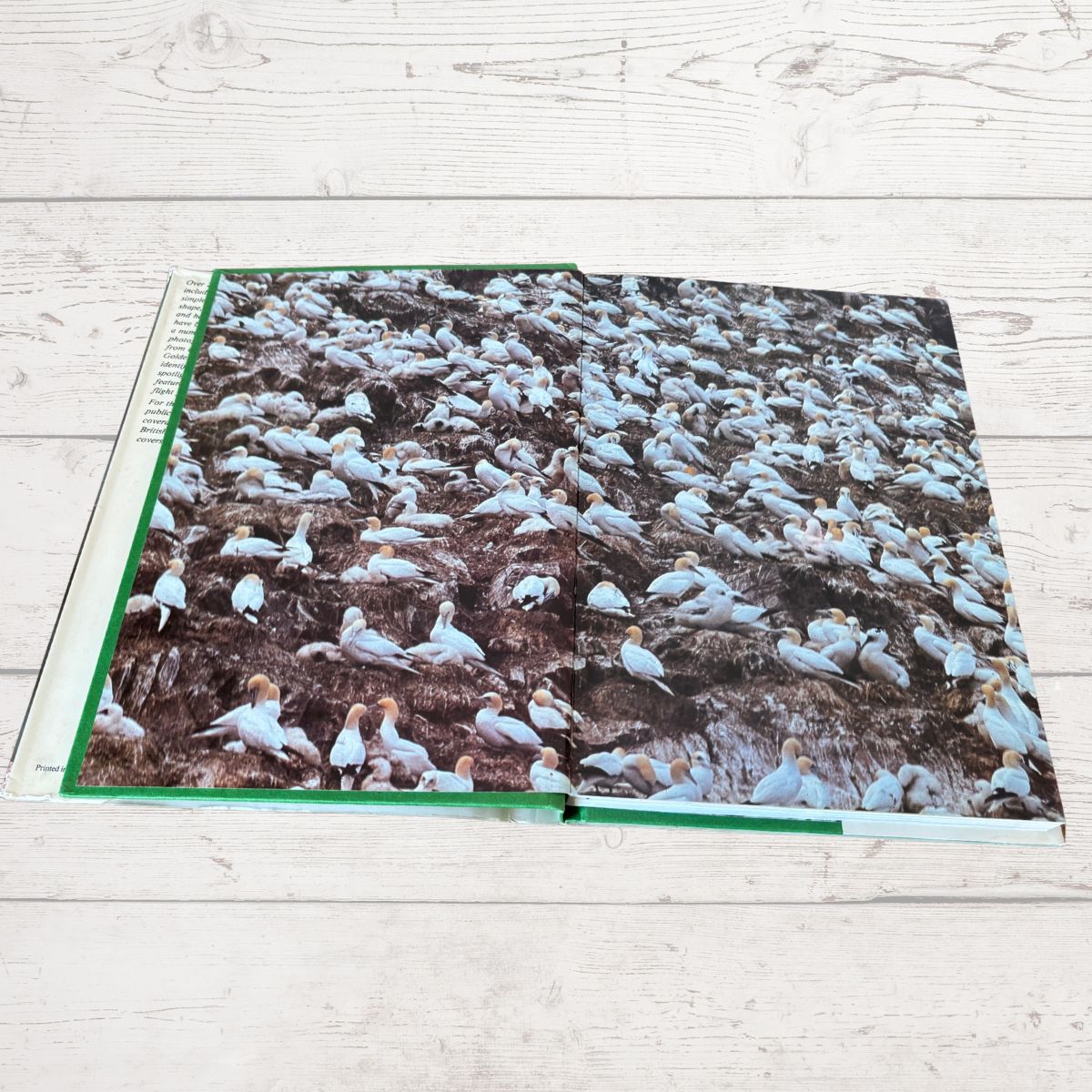 Inside book cover  with a pattern of birds on a wooden surface