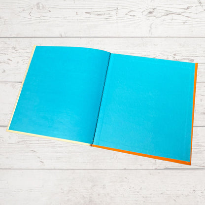 Vintage 1970s Children's Book: The Hedgehog  - Beautifully Illustrated Educational Hardback Animal & Nature Facts