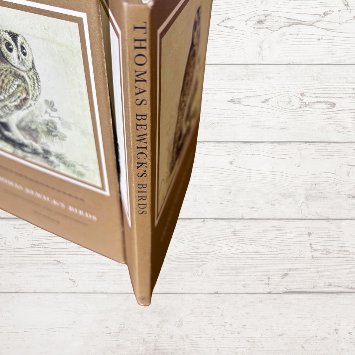 Book titled 'Thomas Bewick's Birds' on a wooden surface
