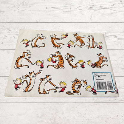 Calvin and Hobbes book  on a white background