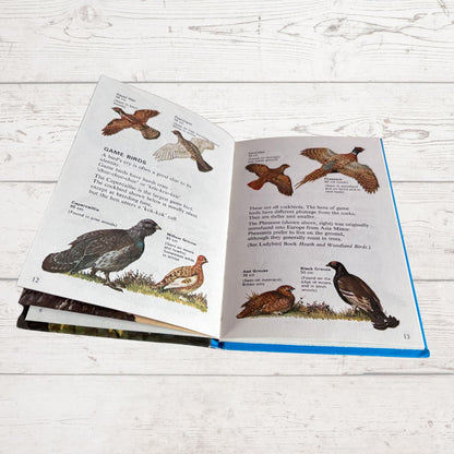 An open illustrated book showing pages with drawings and text about game birds, photographed on a white wood plank surface.
