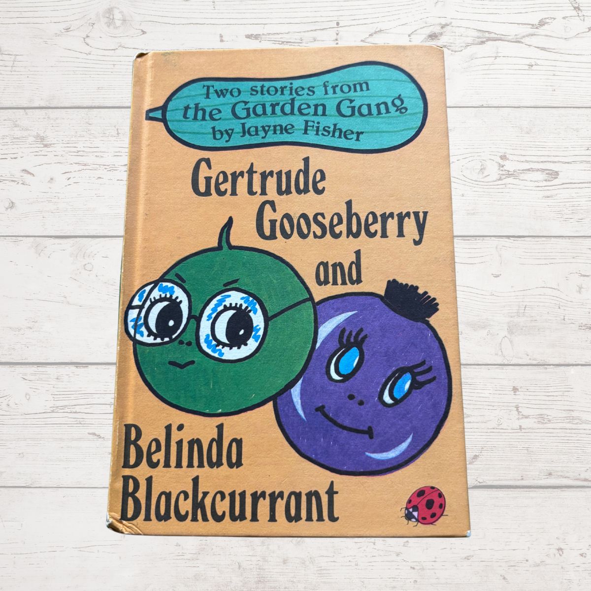 Book cover of 'Gertrude Gooseberry and Belinda Blackcurrant' by Jayne Fisher on a wooden surface.