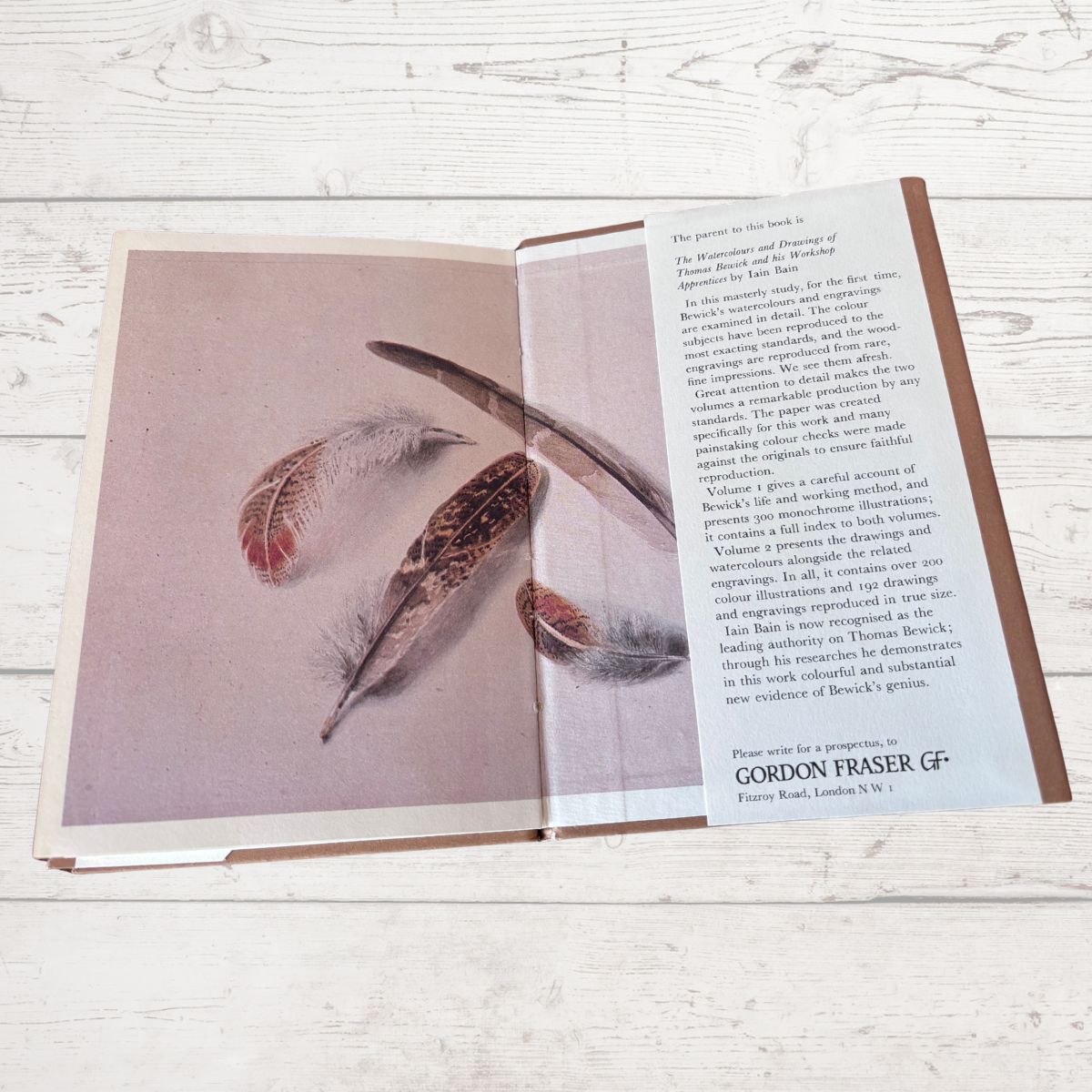 Open book with feather illustrations on a wooden surface