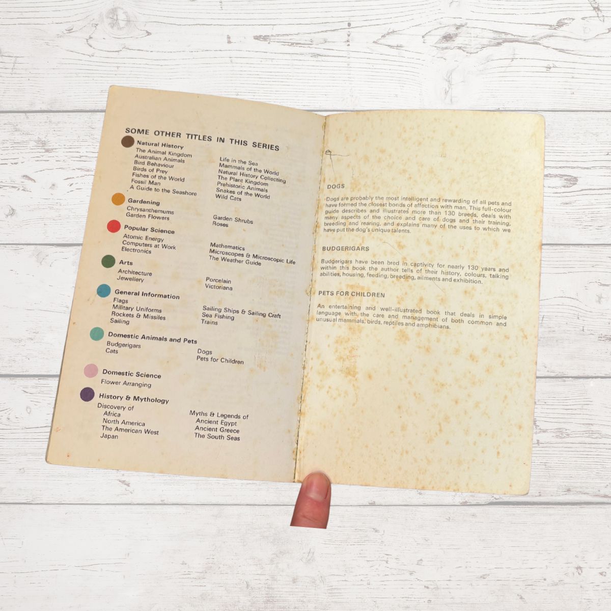 An open vintage book showing printed text and colored title labels on aged cream paper, photographed on a white wood surface. 