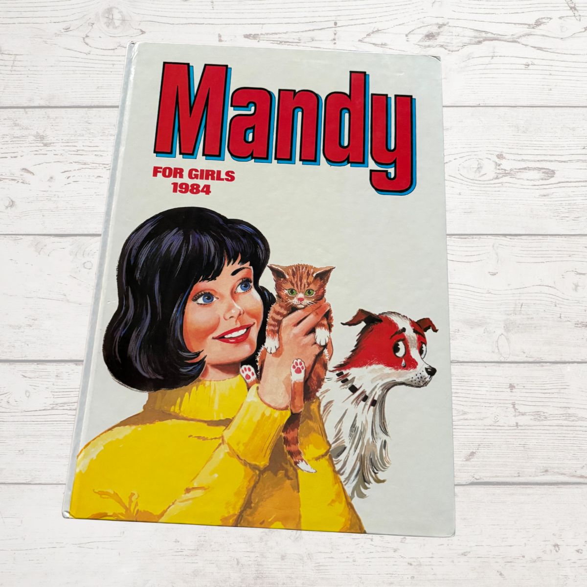 Vintage Mandy annual 1984 