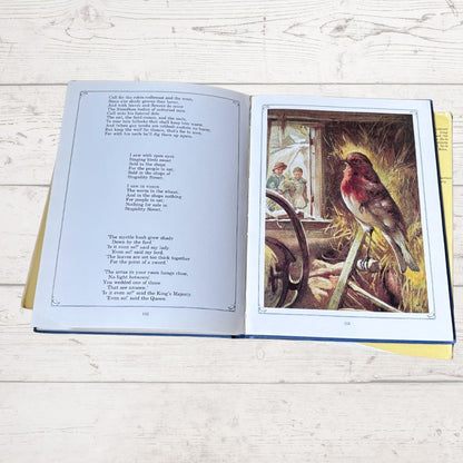An open children's book lying on a light wood surface, showing printed text on the left page and a colorful illustration of a bird perched on a fence on the right page.