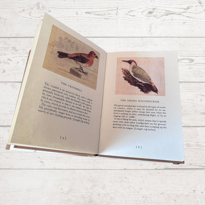 Open book with illustrations of birds on a wooden surface