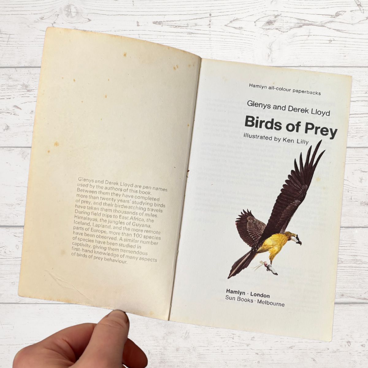 An open vintage children's book titled 'Birds of Prey' by Glenys and Derek Lloyd, held by a hand against a white wood background. The right page features an illustration of a bird in flight.
