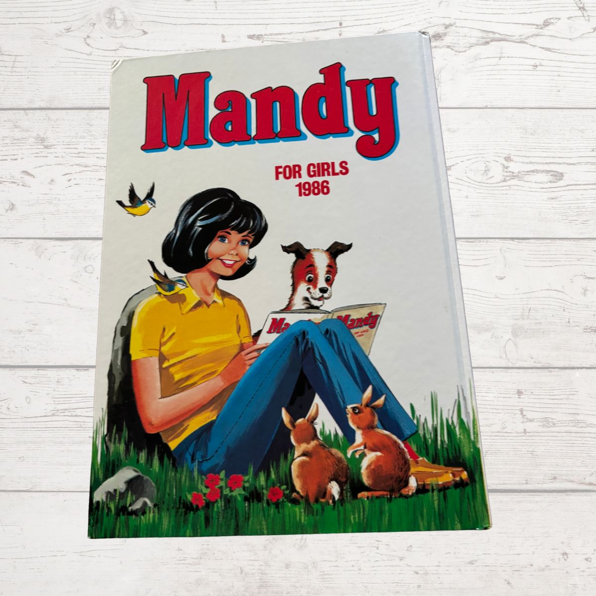 Vintage 1986 Mandy for Girls annual on a white background