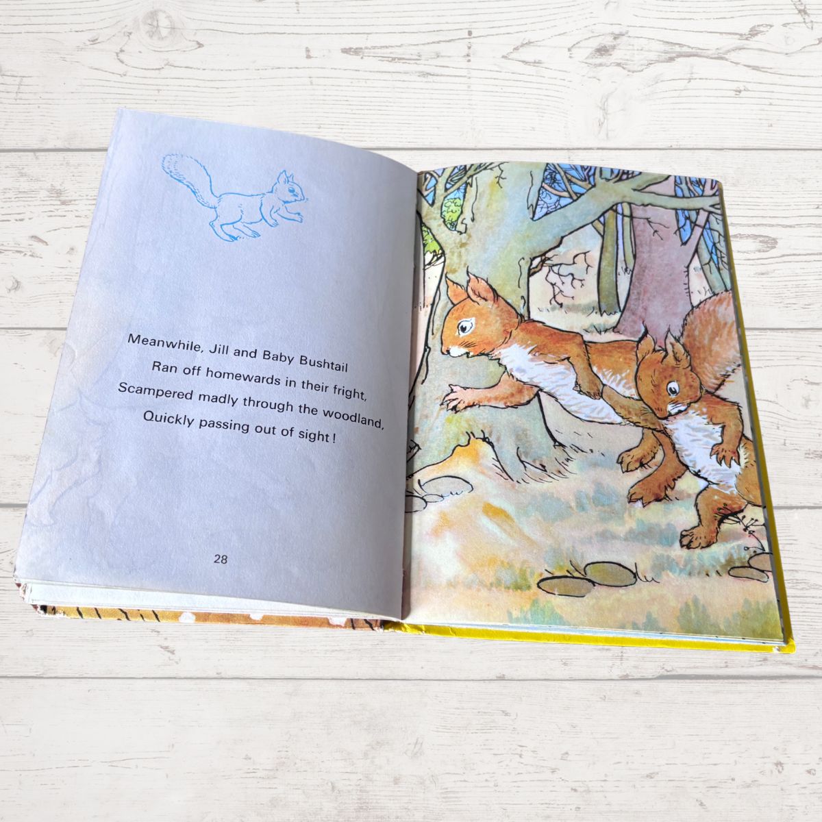 An open children's picture book lying on a light wood surface, showing a woodland illustration of two squirrels on the right page and text on the left page.