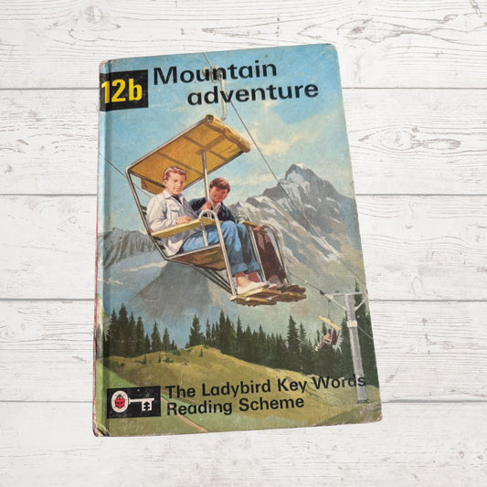 Book cover of 'Mountain Adventure' from The Ladybird Key Words Reading Scheme on a wooden surface.