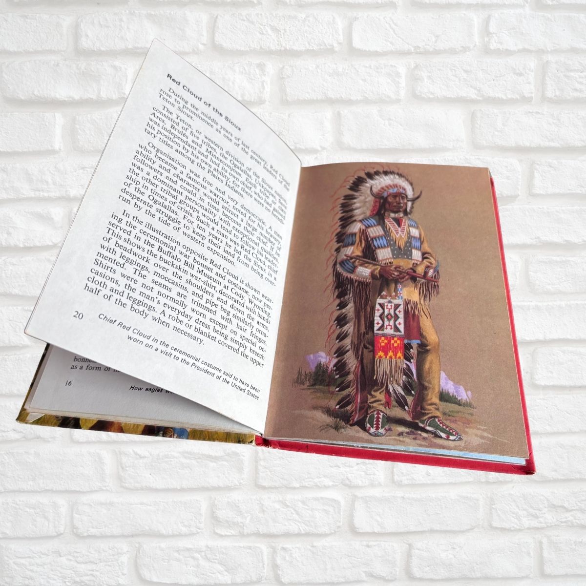 An open book lying on a white brick surface, showing printed text on one page and an illustration of a Native American figure in a feathered war outfit on the other page.