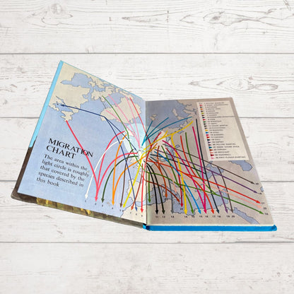 An open book showing a migration chart with colorful lines radiating from a central point on a pale map background, placed on a white wood surface.