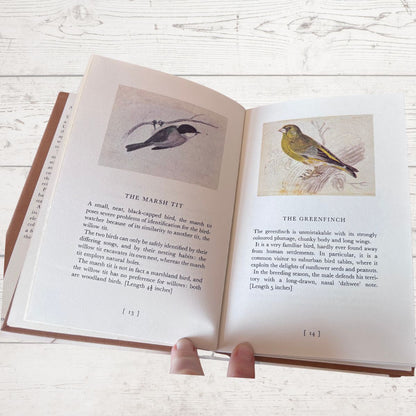Open book with illustrations and text of birds on a light wooden surface