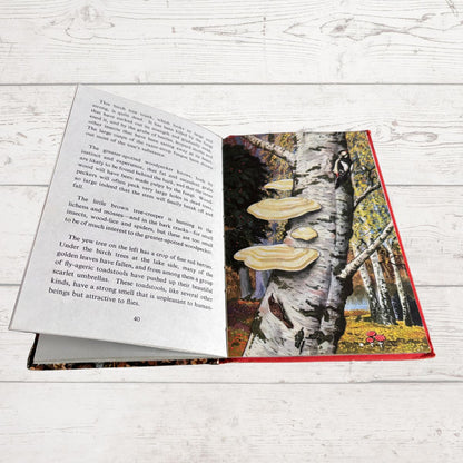 An open hardcover book lying on a white wood surface, showing printed text on the left page and a colorful forest illustration with mushrooms and a bird on the right page.