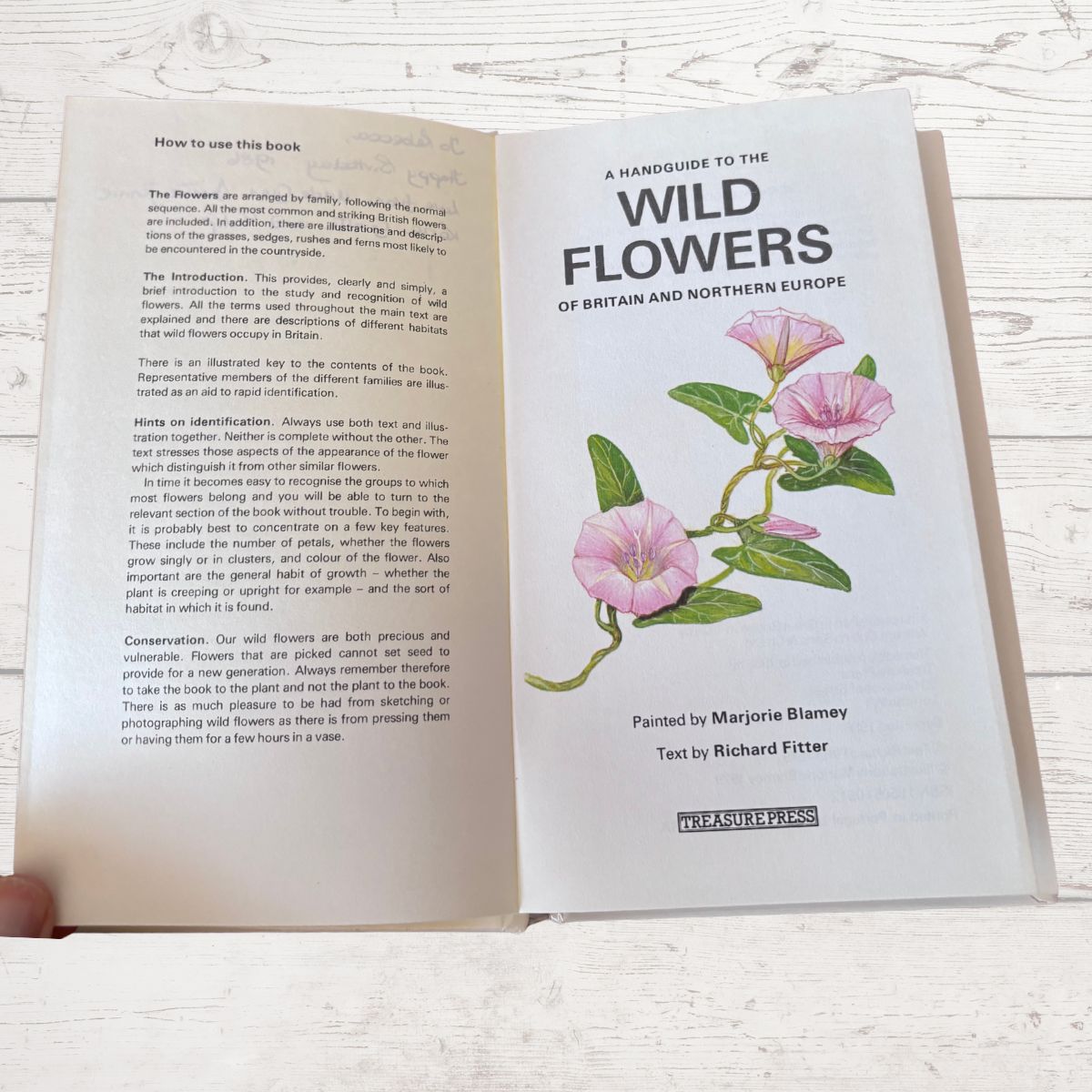 Open book titled 'A Handguide to the Wild Flowers of Britain and Northern Europe' on a wooden surface.