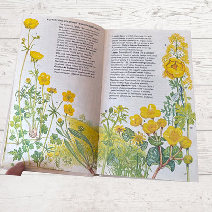Open book with illustrations of yellow flowers on a wooden surface