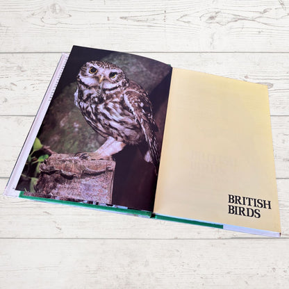 Book open to a page with an owl and 'British Birds' text on a wooden surface