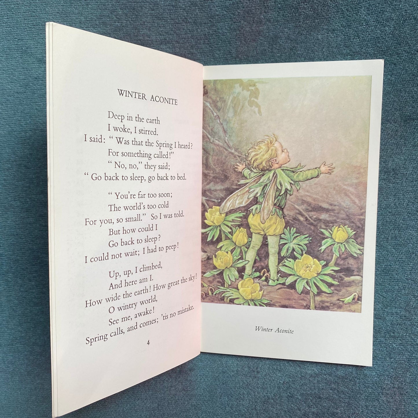 Flower Fairies of the Garden , 1970s edition  by Cicely M Barker. Great gift idea